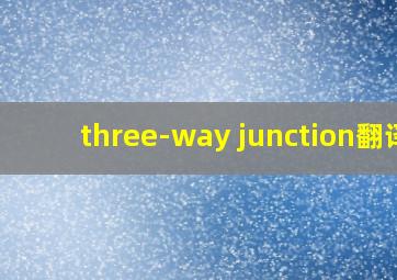 three-way junction翻译